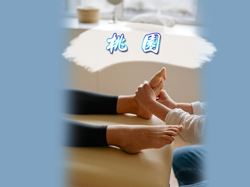 桃園排毒